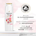 Shampoo miracles Colour Gloss  PANTENE PRO-V