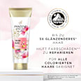 Conditioner Miracles Colour Gloss PANTENE PRO-V
