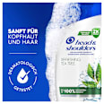 Shampoo Anti-Schuppen mit Teebaum Öl head&shoulders