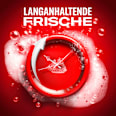 Duschgel 3in1 Rockstar Old Spice