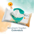 Feuchttücher Harmonie Calendula (24x44 St) Pampers Harmonie