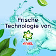 Weichspüler Freshness Guard Ariel Lenor