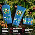 Haarkur Repair Arganöl Herbal Essences