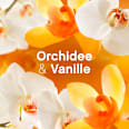 Weichspüler Orchidee & Vanille 38WL Lenor