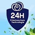 Weichspüler Freshness Guard 38WL Lenor