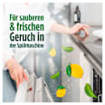 Spülmaschinen-Tabs All-in-One Fairy