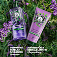 Conditioner Anti-Frizz Lavendelduft Herbal Essences