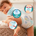 Baby Pants Baby Dry Gr.8 Extra Large (19+kg), Big Pack Pampers