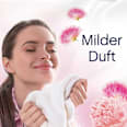 Weichspüler Light Pfingstrose & Seidenbaumblüte 38WL Lenor