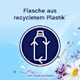 Weichspüler Ein Tag in der Provence Flasche 46WL Lenor