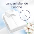 Weichspüler Light Frische Baumwollblüte Lenor