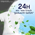 Weichspüler Freshness Guard 38WL Lenor