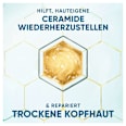 Shampoo Derma x Pro Hydra Pflege head&shoulders