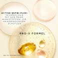 Shampoo Colour Protect PANTENE PRO-V