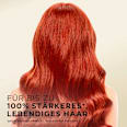 Shampoo Colour Protect PANTENE PRO-V
