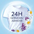 Weichspüler Ein Tag in der Provence, 42WL Lenor