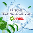 Weichspüler Freshness Guard Lenor