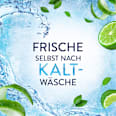 Weichspüler Freshness Guard Lenor