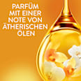 Weichspüler Goldene Orchidee, 42WL Lenor