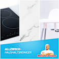 Allzweckreiniger Antibakteriell Meister Proper