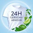 Weichspüler Freshness Guard Lenor