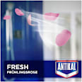 Kalkreiniger Fresh Antikal