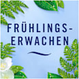 Lufterfrischer Car Frühlingserwachen Febreze