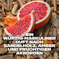 Dusche Alaska  AXE