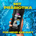 Dusche Alaska  AXE