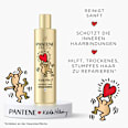 Shampoo Repair & Care miracle PANTENE PRO-V