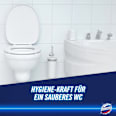Bleichmittel & Schimmelentferner Hygiene Reiniger Domestos