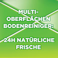Allzweckreiniger Frühlingsblumen AJAX