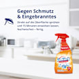 Küchenreiniger mit Aktiv-Chlor DanKlorix