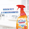 Küchenreiniger mit Aktiv-Chlor DanKlorix