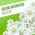 Allzweckreiniger Frühlingsblumen  AJAX