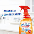 Küchenreiniger mit Aktiv-Chlor DanKlorix