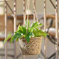 Hängekorb für Pflanzen Dekorieren & Einrichten