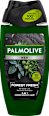 MEN Dusche Forest Fresh Palmolive