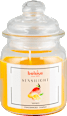 SENSILIGHT  mirišljava sveća - mango 79/126 bolsius