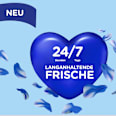 Weichspüler Windfrisch 59WL Softlan