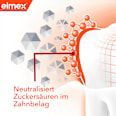 Zahnpasta Kariesschutz Professional elmex