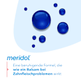 Mundspülung Rundumpflege antibakteriell meridol