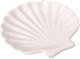 Keramikteller Muschel, weiß Dekorieren & Einrichten