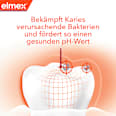 Zahnpasta Kariesschutz Professional elmex
