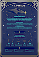 Adventskalender 2024 AMORELIE