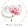 Deospray mit Zink Rosenduft Dove