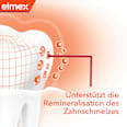 Zahnpasta Kariesschutz Professional elmex