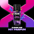 Bodyspray Purple Patchouli Citrus & Oak Scent AXE