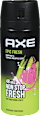 Epic Fresh dezodorans u spreju AXE