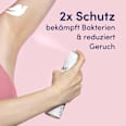 Deospray Zink-Komplex und Rosenduft Dove